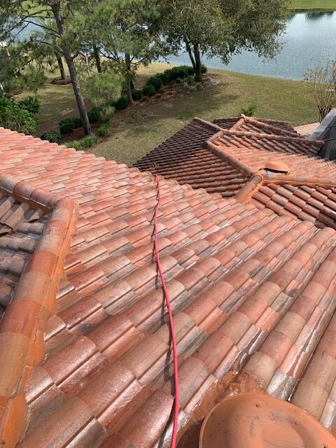 Excellent, service arrived on time – Roof Washing