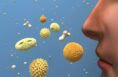 Yellow pollen particles floating in air over Santa Rosa Beach home - spring allergy season in Florida Panhandle demonstrates need for professional pressure washing